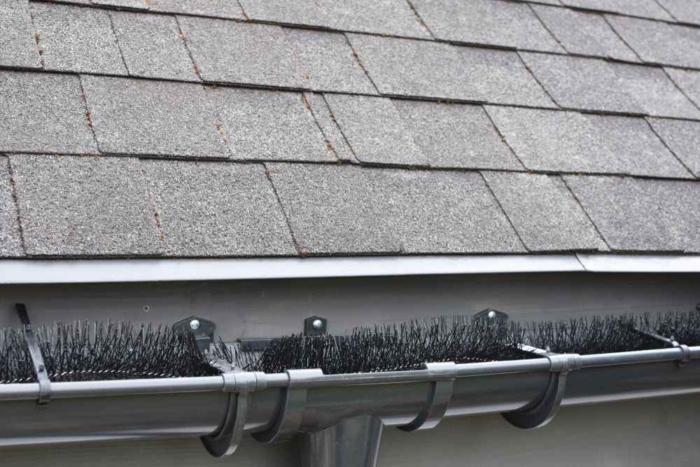 Plastic Guard Brush In New Dark Grey Plastic Rain Gutter