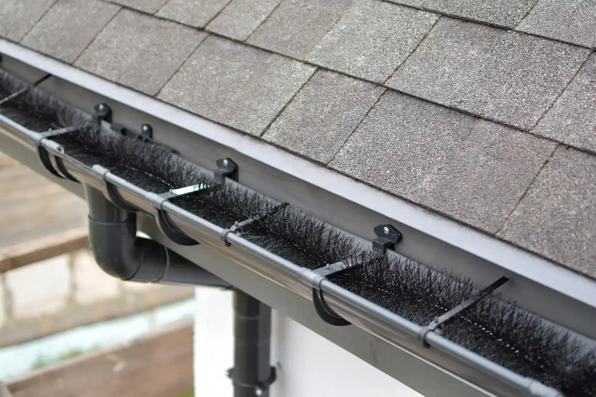 A close-up of a house roof shows a rain gutter with a black bristle brush guard installed inside to prevent debris from clogging the gutter. The shingles and downspout are also visible.