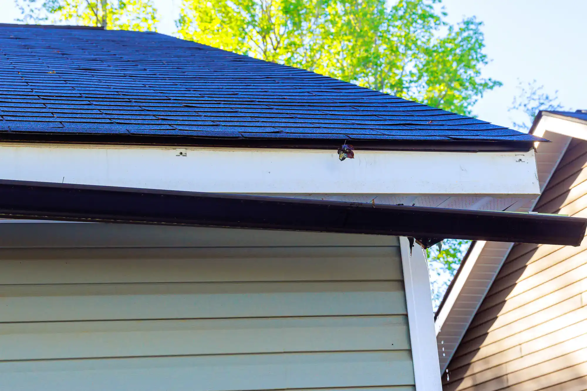 A small wasp nest is attached under the edge of a house roof, near the white trim and black gutter, with trees and part of another house visible in the background.