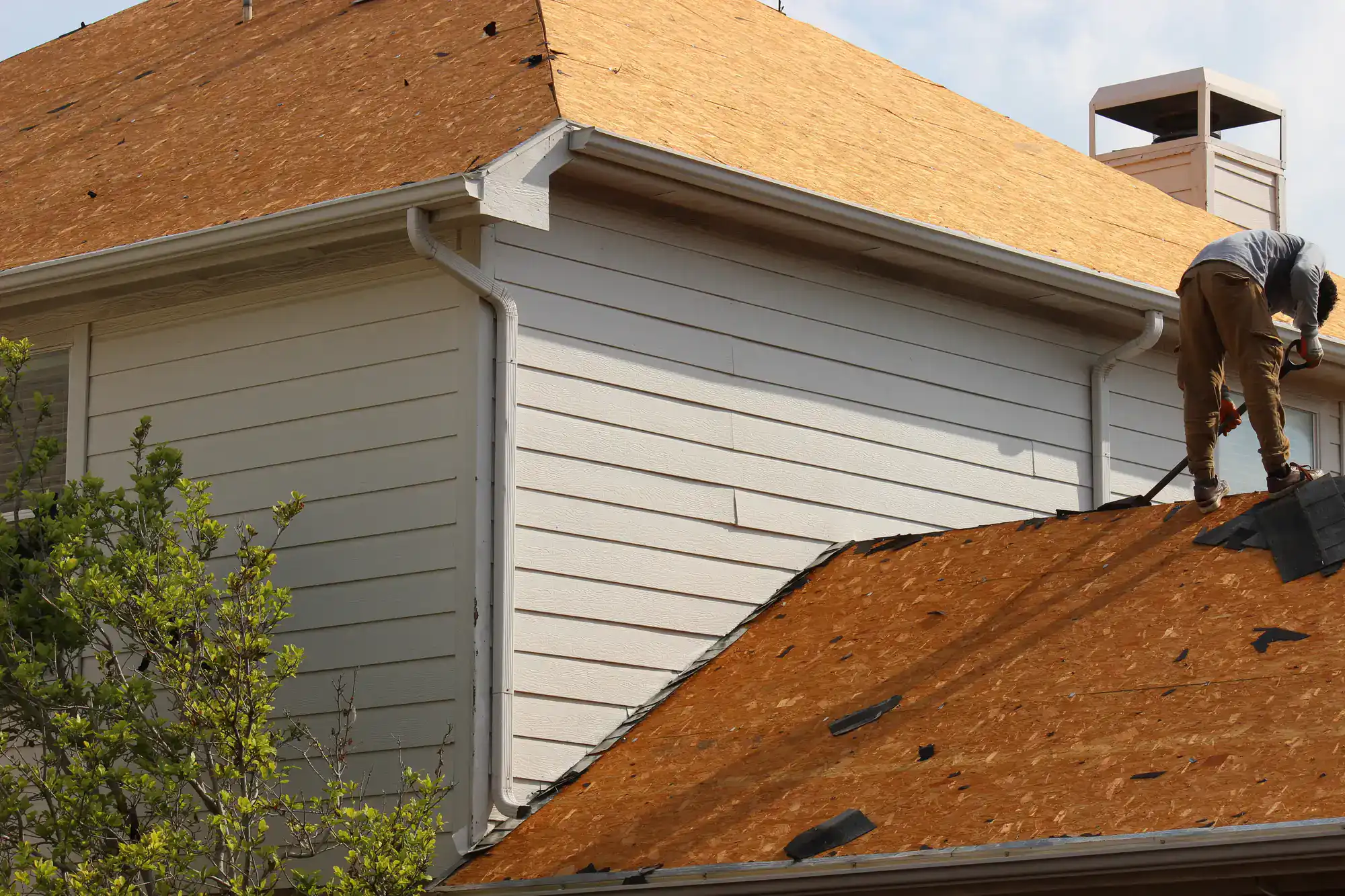 A person works on the roof of a house, replacing shingles. The roof is covered with wooden boards, and some old shingles and debris are scattered. The house is white with horizontal siding and a chimney visible.