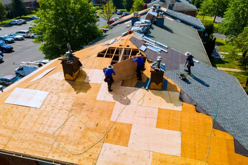 Workers in safety gear install plywood sheets on a large, sloped roof. Some sections are incomplete. Tools and materials are scattered nearby, and the area is surrounded by trees and parked cars.